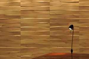 Decotop Habitare 2009